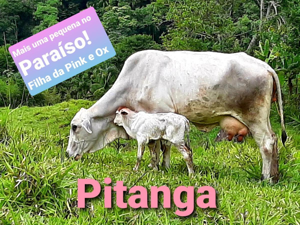 Fazendinha Paraiso Lumiar Exteriör bild